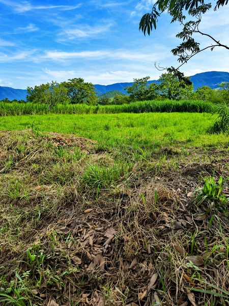 TERRENO À VENDA EM ITATI: 2ª foto da galeria de imagens do imóvel