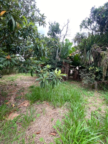 TERRENO À VENDA NO BAIRRO SERRARIA: 4ª foto da galeria de imagens do imóvel