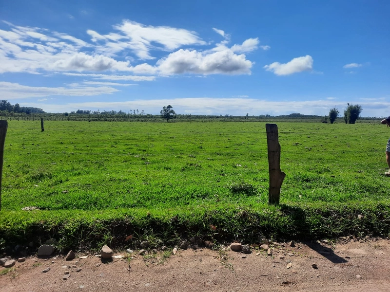 ÁREA À VENDA EM TERRA DE AREIA: 1ª foto da galeria de imagens do imóvel