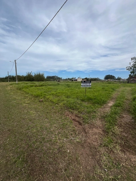 TERRENO EM TERRA DE AREIA: 2ª foto da galeria de imagens do imóvel
