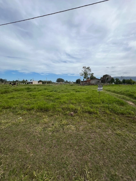 TERRENO EM TERRA DE AREIA: 3ª foto da galeria de imagens do imóvel