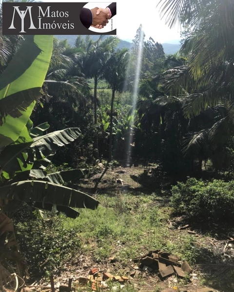 CASA EM TRÊS FORQUILHAS: 4ª foto da galeria de imagens do imóvel