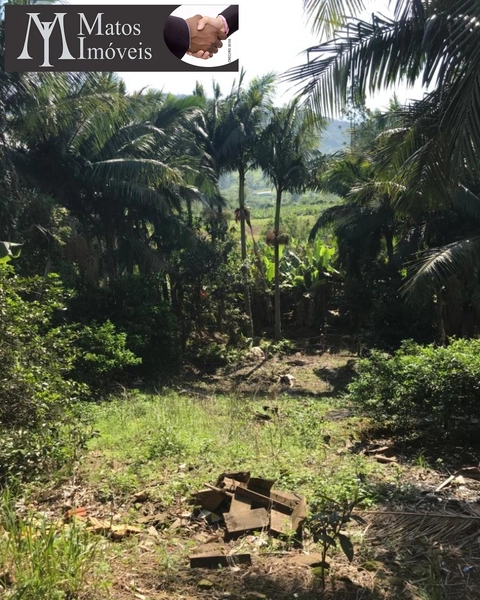 CASA EM TRÊS FORQUILHAS: 3ª foto da galeria de imagens do imóvel