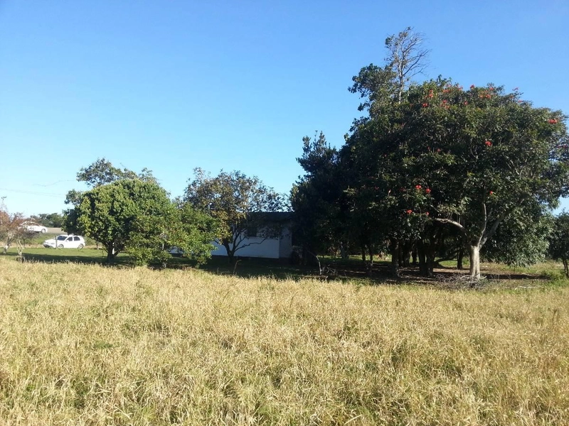 SÍTIO FRENTE A BR 101: 9ª foto da galeria de imagens do imóvel