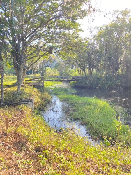 SÍTIO: 7ª foto da galeria de imagens do imóvel