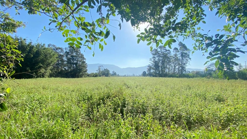 Área rural na Sanga Funda: 1ª foto da galeria de imagens do imóvel