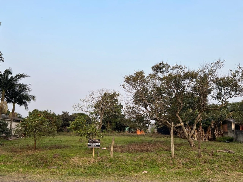 ÁREA EM TERRA DE AREIA: 1ª foto da galeria de imagens do imóvel