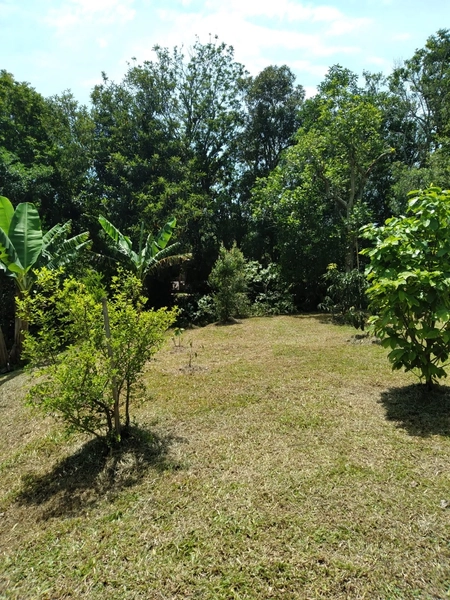 ÁREA COM CASA DE MADEIRA: 13ª foto da galeria de imagens do imóvel