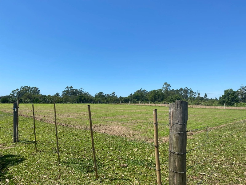 AREA EM TERRA DE AREIA: 4ª foto da galeria de imagens do imóvel