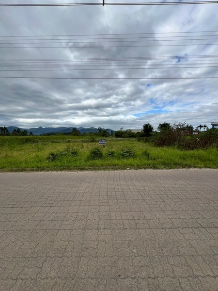 TERRENO CENTRO DE TERRA DE AREIA: 2ª foto da galeria de imagens do imóvel
