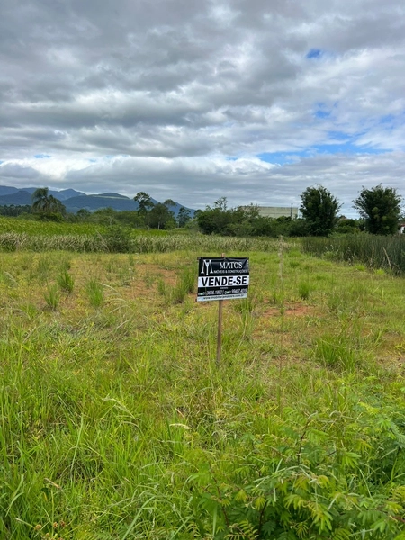 TERRENO CENTRO DE TERRA DE AREIA: 1ª foto da galeria de imagens do imóvel