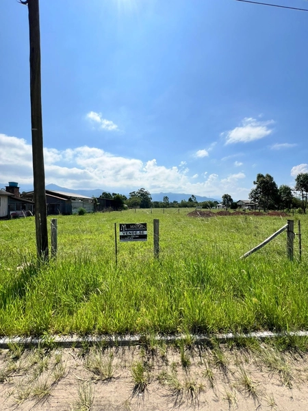 DOIS TERRENOS CENTRO DE TERRA DE AREIA: 1ª foto da galeria de imagens do imóvel