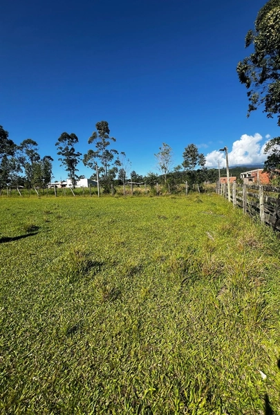 TERRENO EM TERRA DE AREIA: 3ª foto da galeria de imagens do imóvel