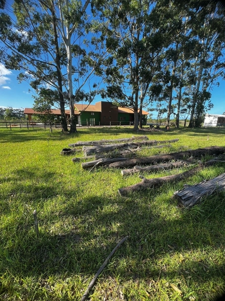 TERRENO EM ARROIO TEIXEIRA: 1ª foto da galeria de imagens do imóvel