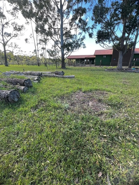 TERRENO EM ARROIO TEIXEIRA: 2ª foto da galeria de imagens do imóvel