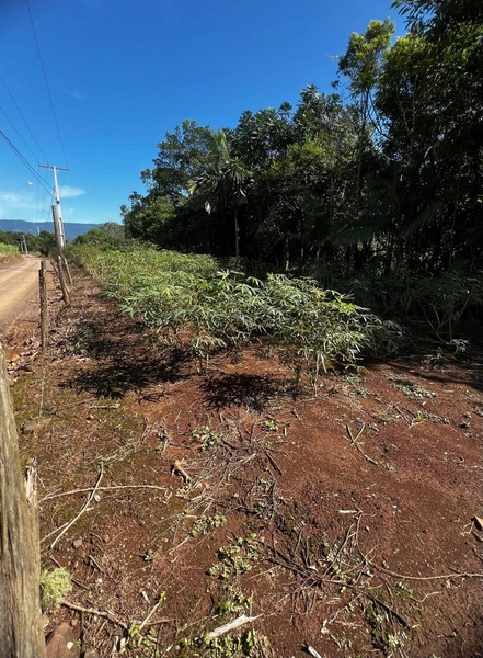 ÀREA NO MORRO DO CHÁPEU: 2ª foto da galeria de imagens do imóvel