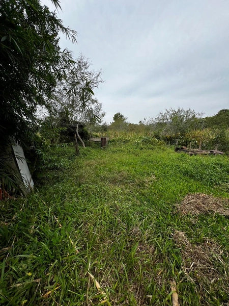 CASA MISTA EM TERRA DE AREIA: 3ª foto da galeria de imagens do imóvel