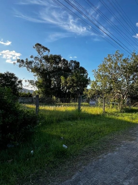 TERRENO DE ESQUINA NO CENTRO DE TERRA DE AREIA: 4ª foto da galeria de imagens do imóvel