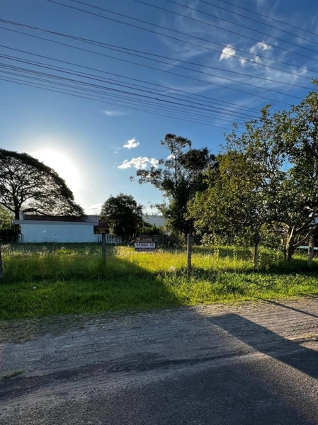 TERRENO DE ESQUINA NO CENTRO DE TERRA DE AREIA: 1ª foto da galeria de imagens do imóvel