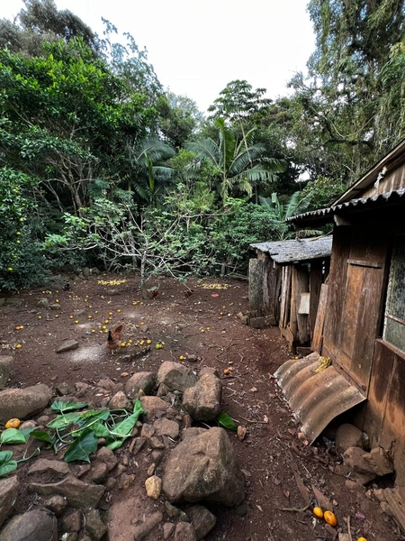 ÁREA COM CASA EM MAQUINÉ: 26ª foto da galeria de imagens do imóvel
