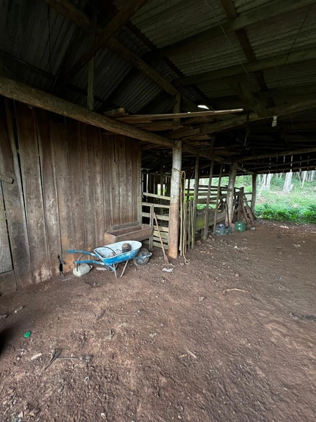 ÁREA COM CASA EM MAQUINÉ: 25ª foto da galeria de imagens do imóvel