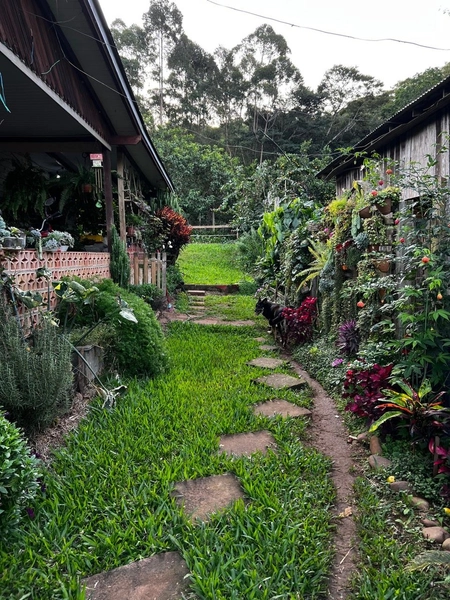 ÁREA COM CASA EM MAQUINÉ: 16ª foto da galeria de imagens do imóvel