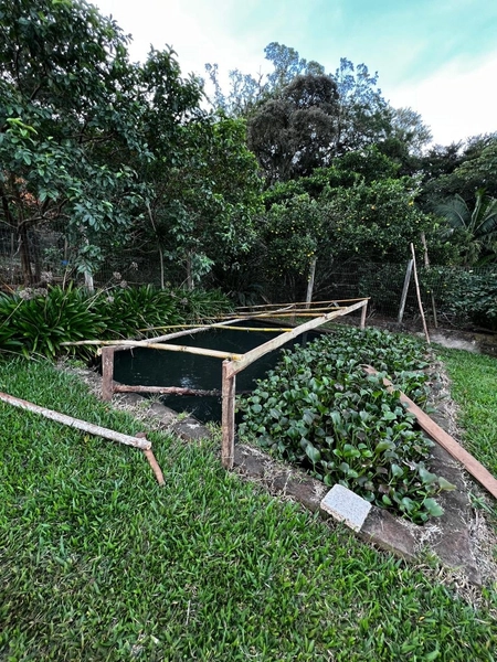 ÁREA COM CASA EM MAQUINÉ: 17ª foto da galeria de imagens do imóvel