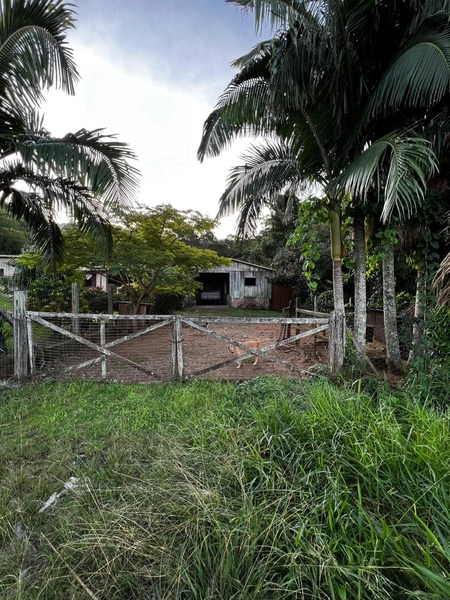ÁREA COM CASA EM MAQUINÉ: 21ª foto da galeria de imagens do imóvel