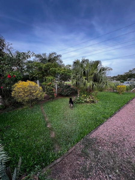 ÁREA COM CASA EM MAQUINÉ: 20ª foto da galeria de imagens do imóvel