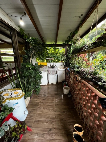 ÁREA COM CASA EM MAQUINÉ: 15ª foto da galeria de imagens do imóvel