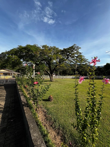 TERRENO EM MAQUINÉ: 6ª foto da galeria de imagens do imóvel