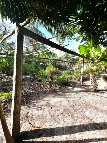 TERRENO EM MAQUINÉ: 12ª foto da galeria de imagens do imóvel