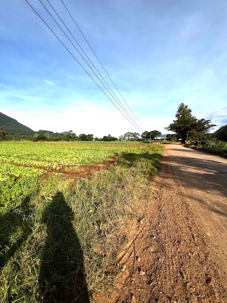 ÁREA EM MAQUINÉ: 2ª foto da galeria de imagens do imóvel