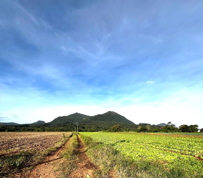 ÁREA EM MAQUINÉ: 1ª foto da galeria de imagens do imóvel