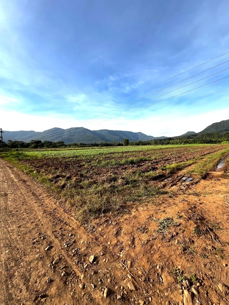 ÁREA EM MAQUINÉ: 4ª foto da galeria de imagens do imóvel