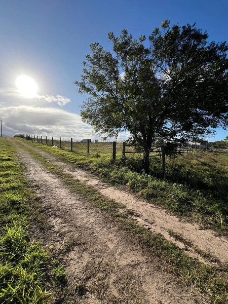 TERRENO EM TERRA DE AREIA: 3ª foto da galeria de imagens do imóvel