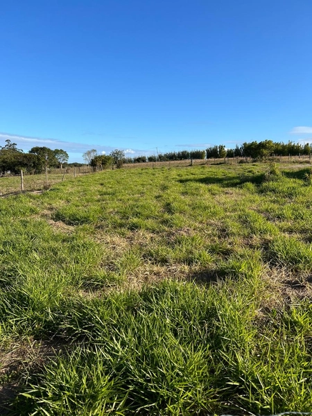 TERRENO EM TERRA DE AREIA: 1ª foto da galeria de imagens do imóvel