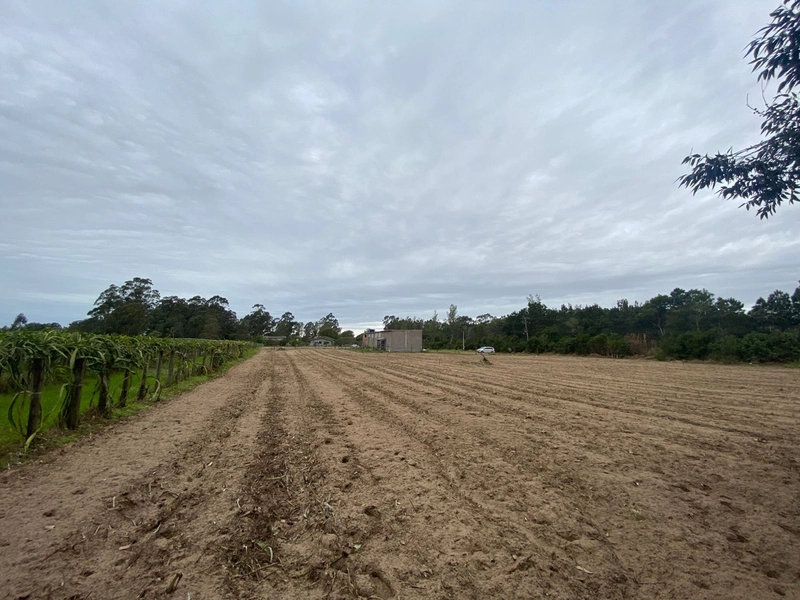 LOTES EM TERRA DE AREIA: 6ª foto da galeria de imagens do imóvel