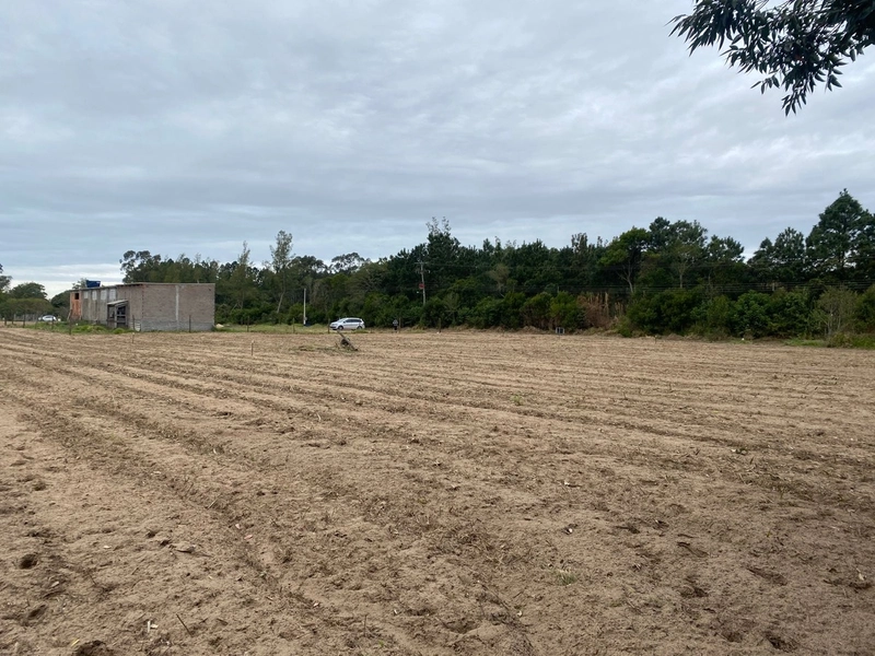 LOTES EM TERRA DE AREIA: 3ª foto da galeria de imagens do imóvel