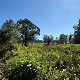 LOTES EM TERRA DE AREIA: 2ª foto da galeria de imagens do imóvel