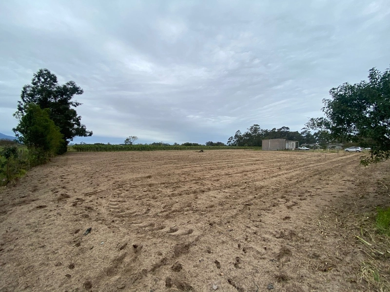 LOTES EM TERRA DE AREIA: 4ª foto da galeria de imagens do imóvel