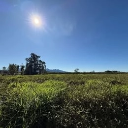 LOTES EM TERRA DE AREIA: 1ª foto da galeria de imagens do imóvel