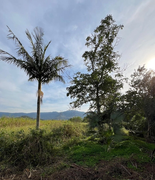 ÁREA DE TERRA EM ITATI: 3ª foto da galeria de imagens do imóvel