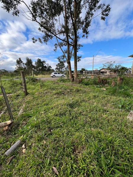 TERRENO EM TERRA DE AREIA: 2ª foto da galeria de imagens do imóvel