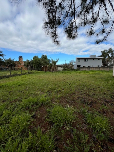 DOIS TERRENOS EM TERRA DE AREIA: 3ª foto da galeria de imagens do imóvel