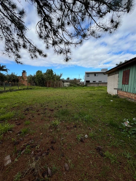 DOIS TERRENOS EM TERRA DE AREIA: 4ª foto da galeria de imagens do imóvel