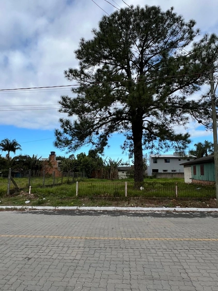 DOIS TERRENOS EM TERRA DE AREIA: 1ª foto da galeria de imagens do imóvel