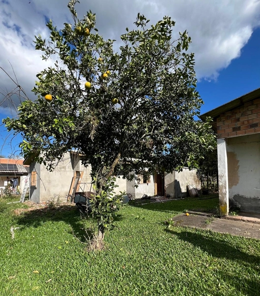 TERRENO EM ITATI: 5ª foto da galeria de imagens do imóvel