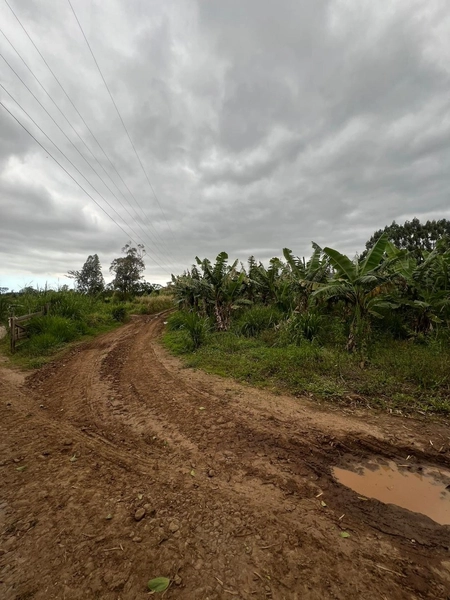 ÁREA DE TERRA EM TRÊS FORQUILHAS: 2ª foto da galeria de imagens do imóvel