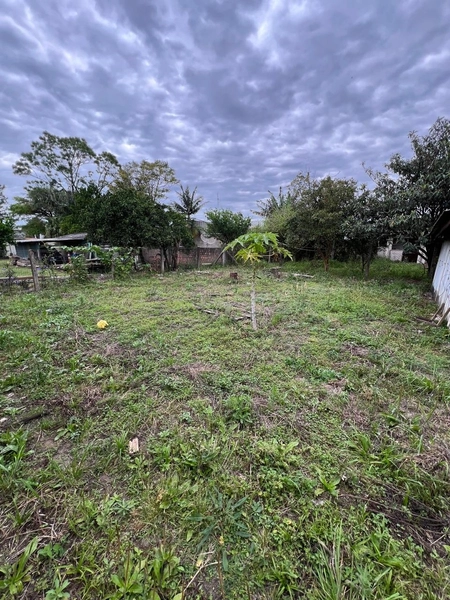TERRENO NO CENTRO: 6ª foto da galeria de imagens do imóvel